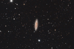 M108 Surfboard Galaxie, Sternbild Ursa Major