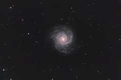 M074 Phantom Galaxie, Sternbild Pisces
