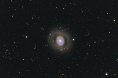 M094 Crocs Auge Galaxie, Sternbild Canes Venatici